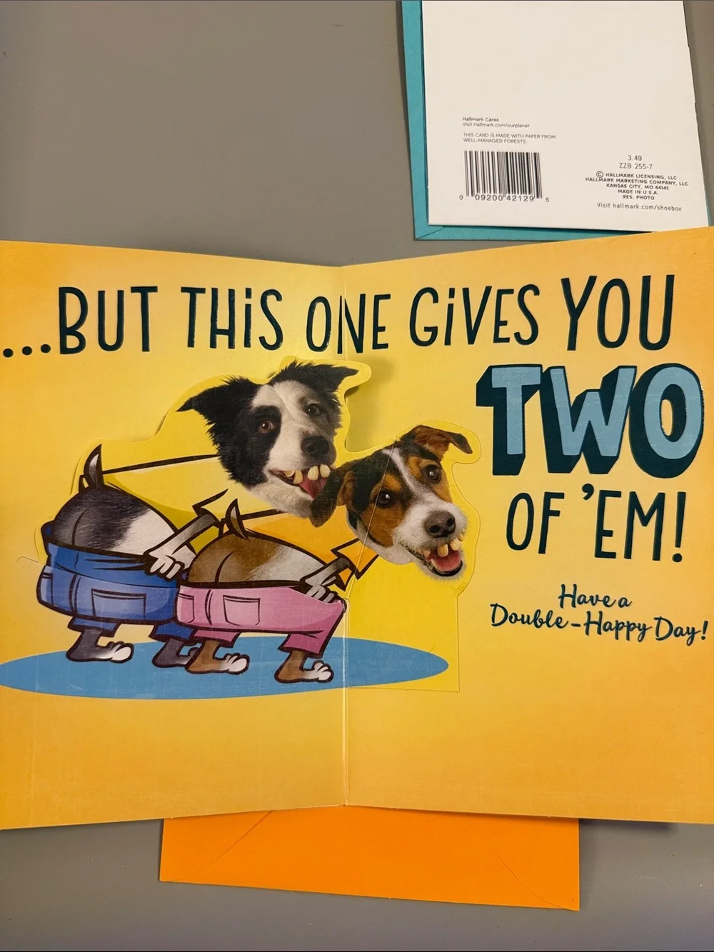 🌻 Bundle of 2 Funny Hallmark / Shoebox Birthday Cards